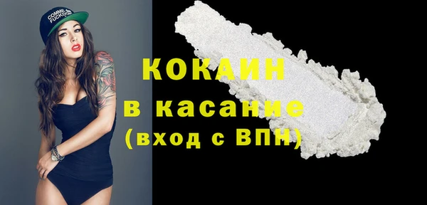 apvp Алексин