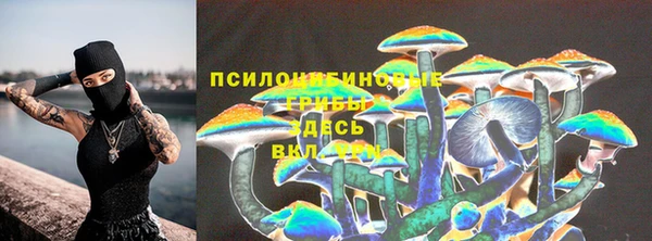 apvp Алексин