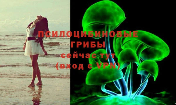 apvp Алексин