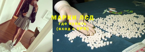 ПСИЛОЦИБИНОВЫЕ ГРИБЫ Алексеевка