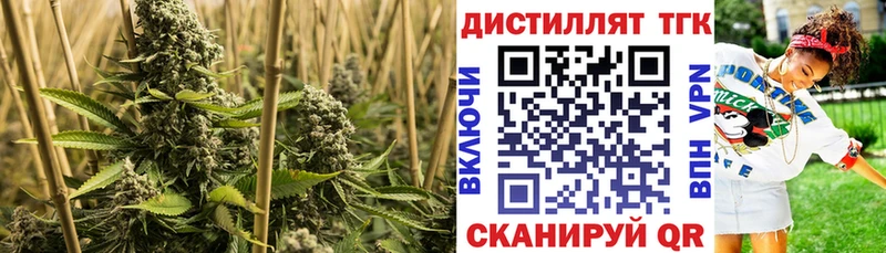 Дистиллят ТГК вейп с тгк  Кинель 