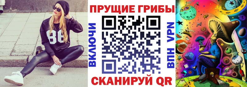 hydra рабочий сайт  Кинель  Псилоцибиновые грибы GOLDEN TEACHER 